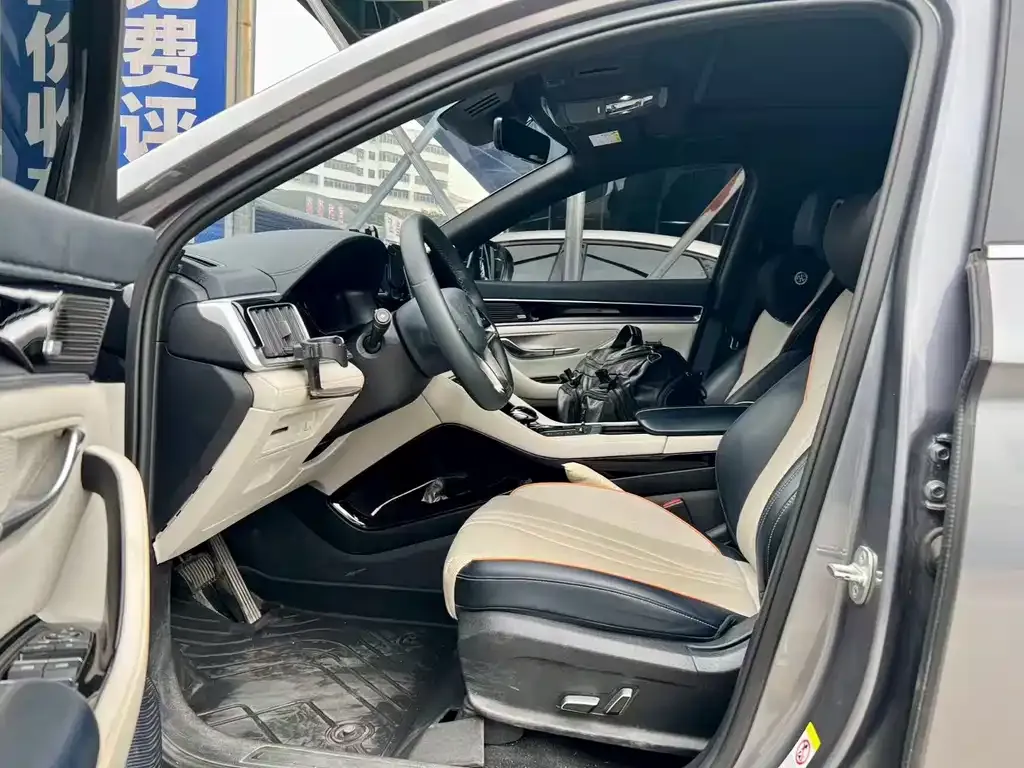 BYD PLUS New Energy 2021 из CN, фото 2