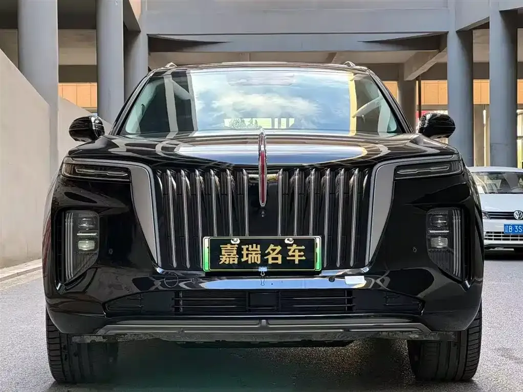Hongqi E-HS9 2023 из CN, фото 2