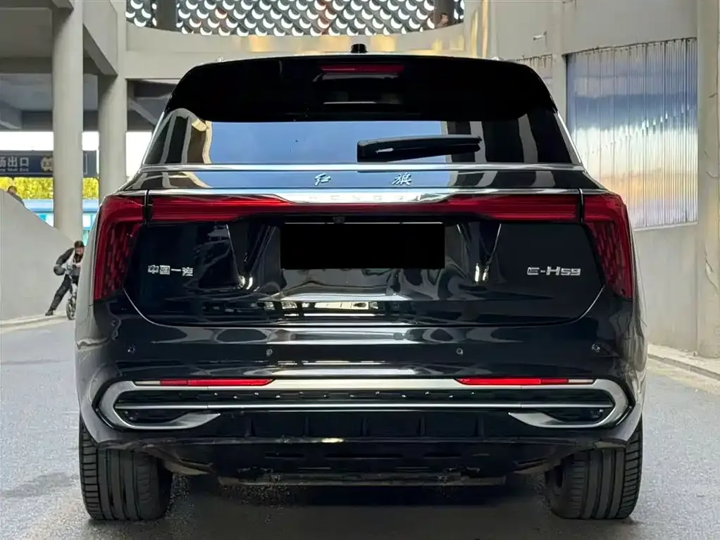Hongqi E-HS9 2023 из CN, фото 4