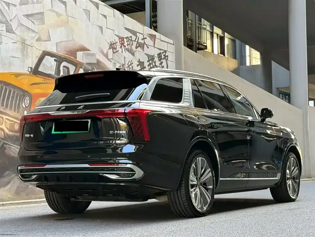 Hongqi E-HS9 2023 из CN, фото 5