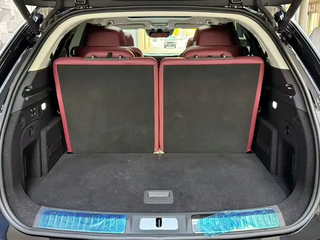 Hongqi E-HS9 2023 из CN, фото 8