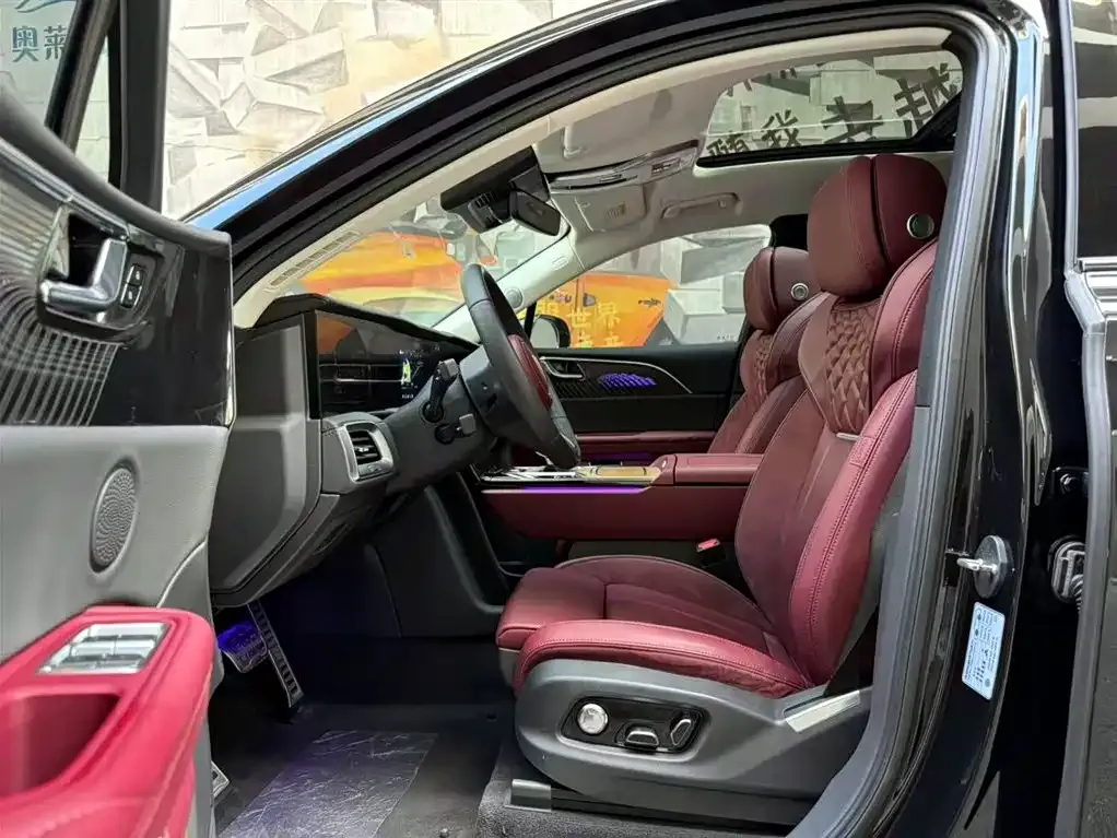 Hongqi E-HS9 2023 из CN, фото 9