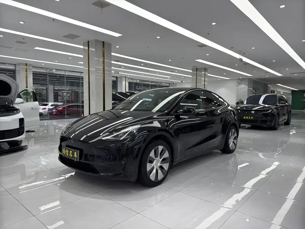 Tesla Model Y — фото 1