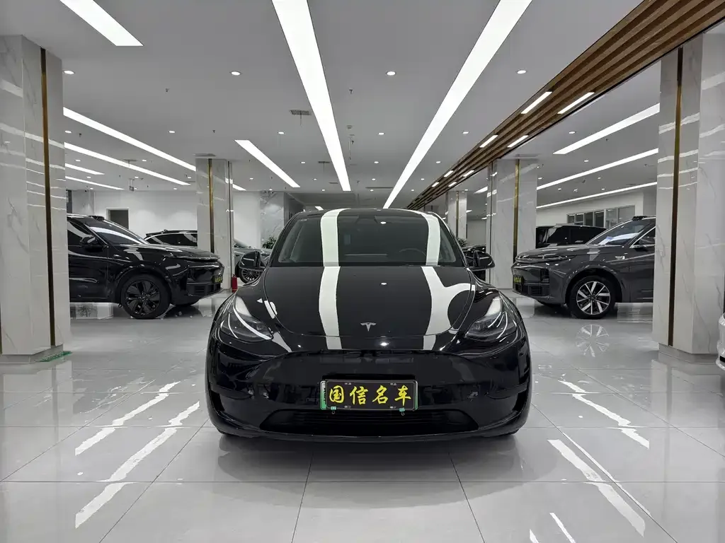 Tesla Model Y — фото 2