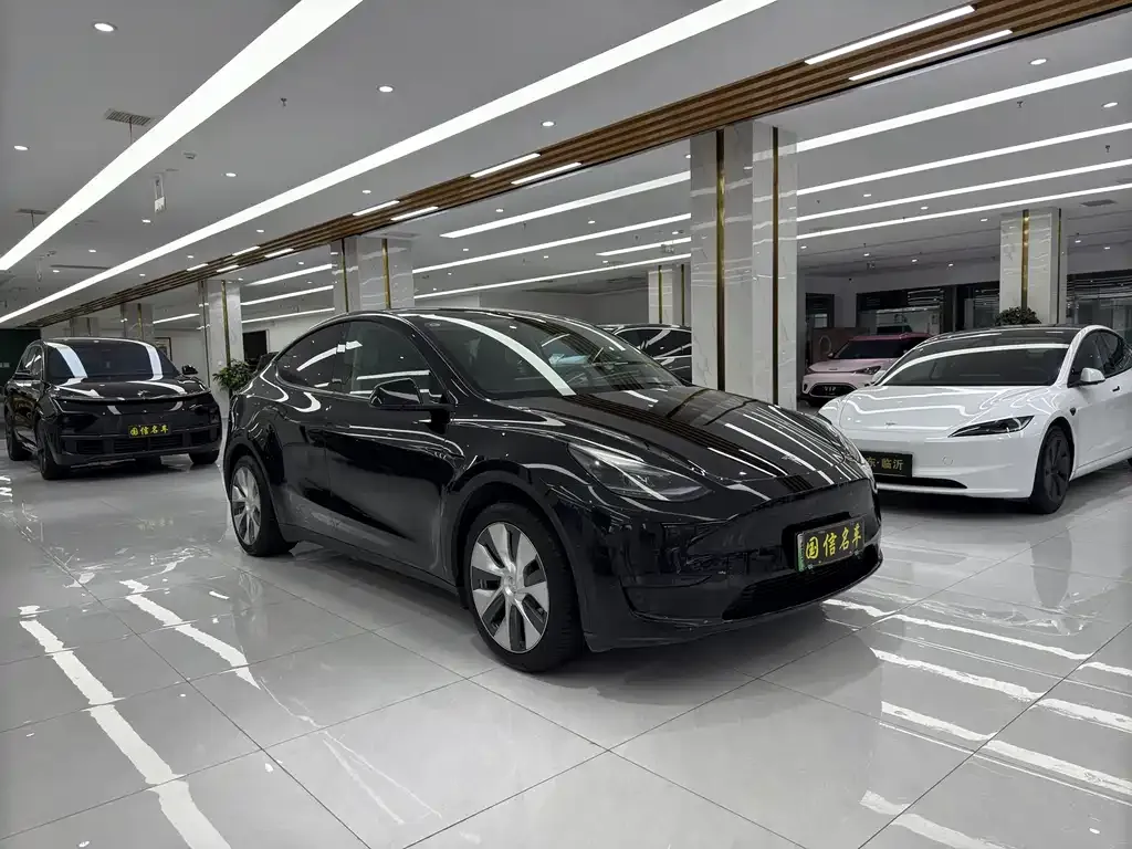 Tesla Model Y — фото 3