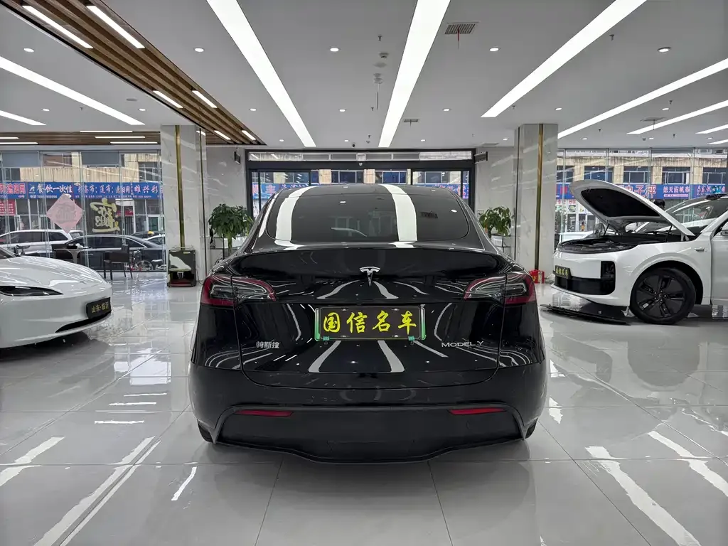 Tesla Model Y — фото 4