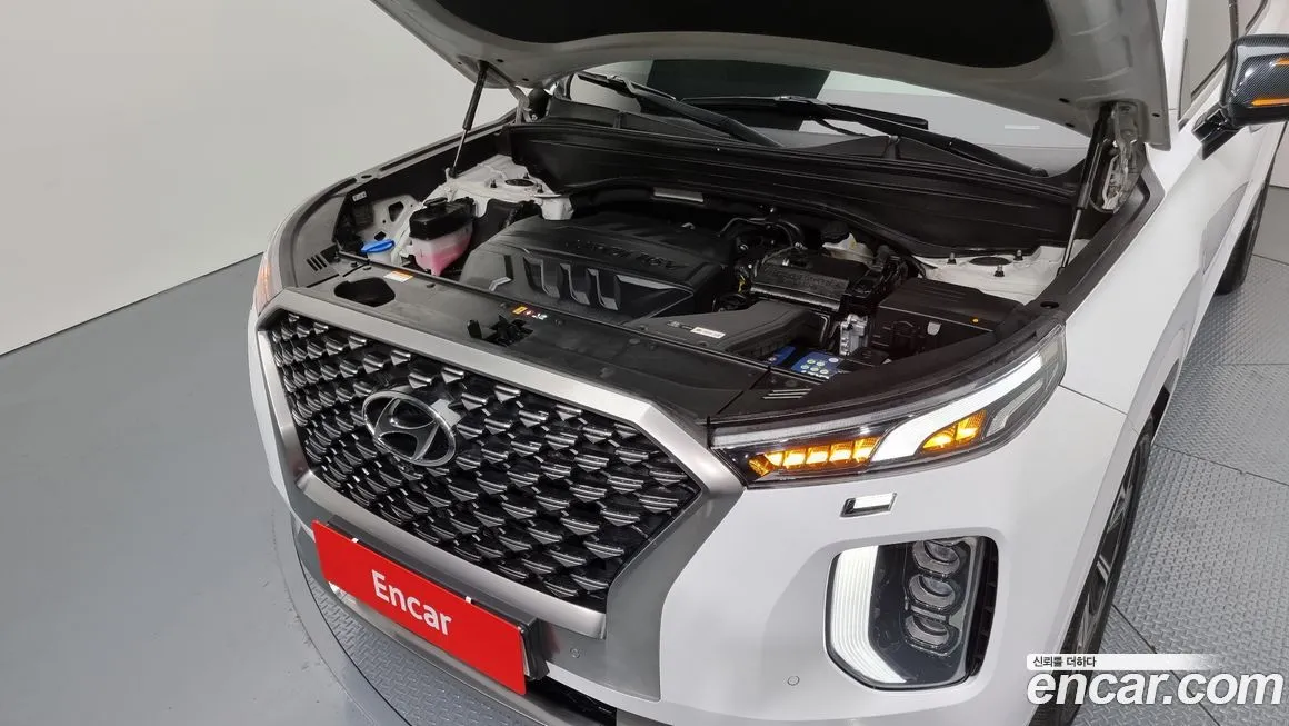 Hyundai Palisade 2022 из KR, фото 6