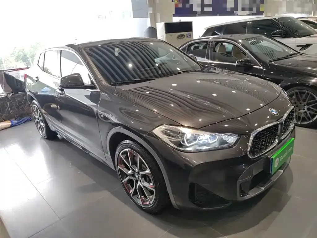 BMW X2 2022 из CN, фото 4