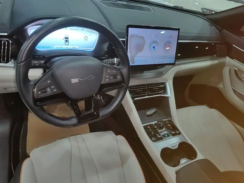BYD PLUS New Energy 2024 из CN, фото 10