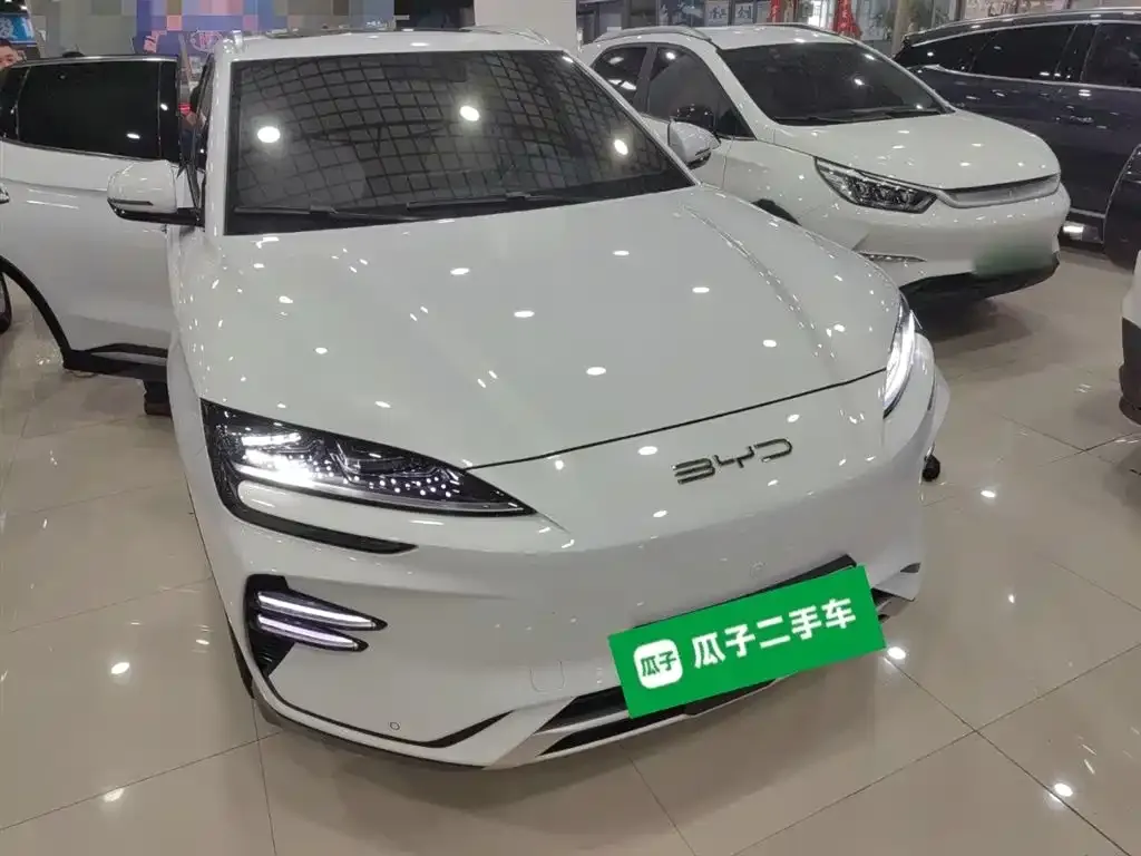 BYD PLUS New Energy 2024 из CN, фото 4