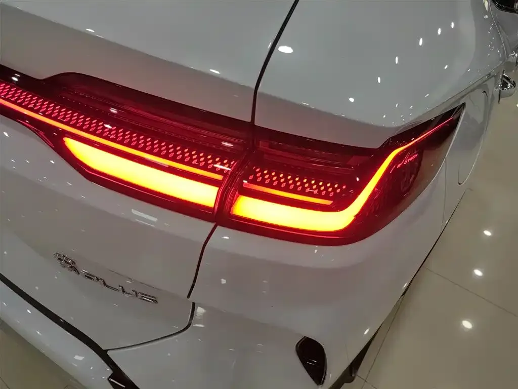 BYD PLUS New Energy 2024 из CN, фото 8