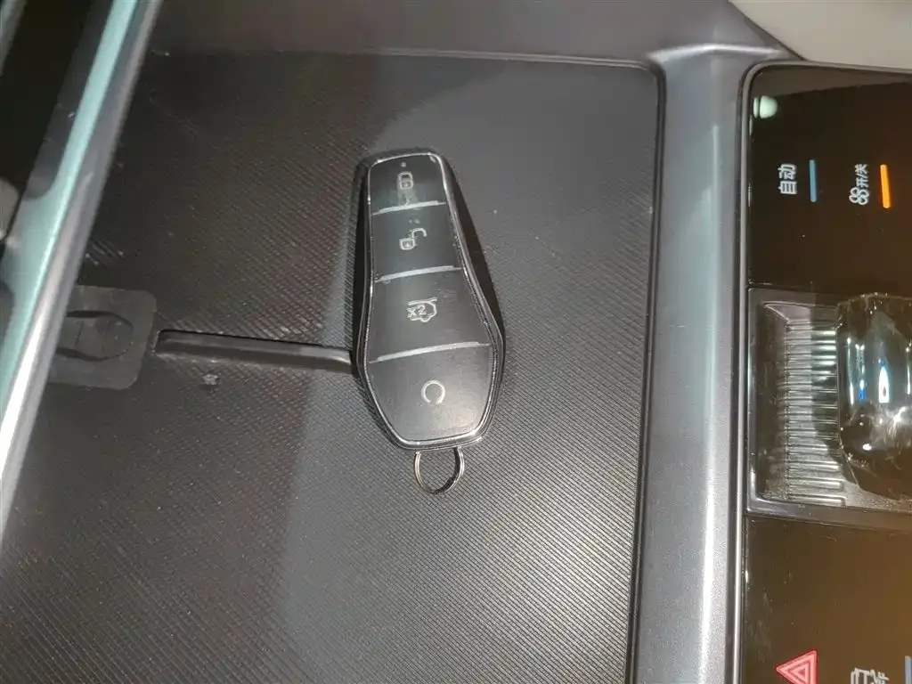 BYD PLUS New Energy 2024 из CN, фото 9