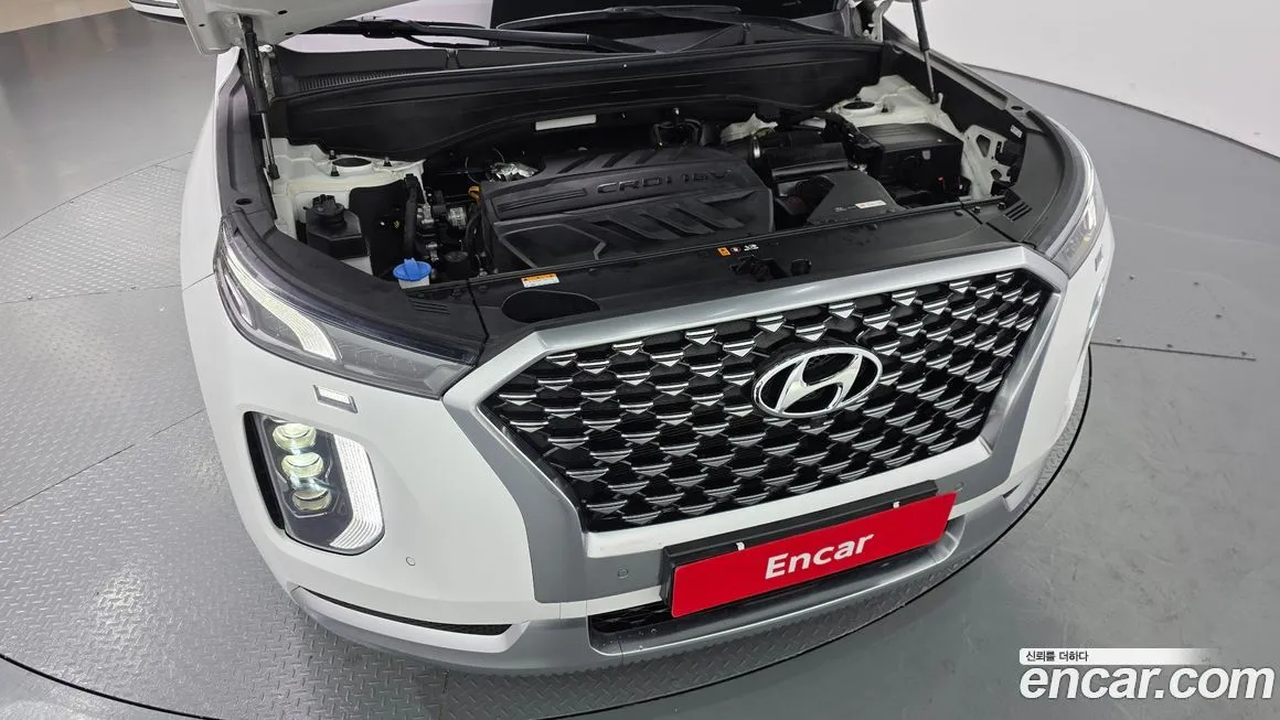 Hyundai Palisade 2021 из KR, фото 6