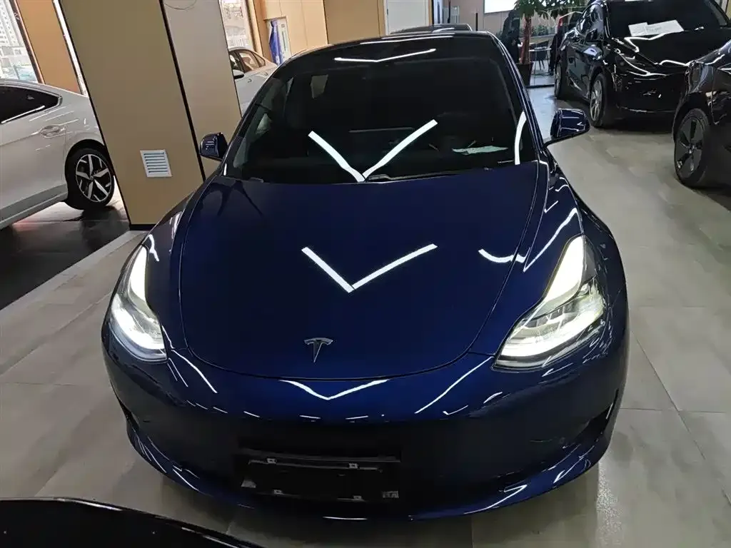 Tesla Model 3 2021 из CN, фото 3
