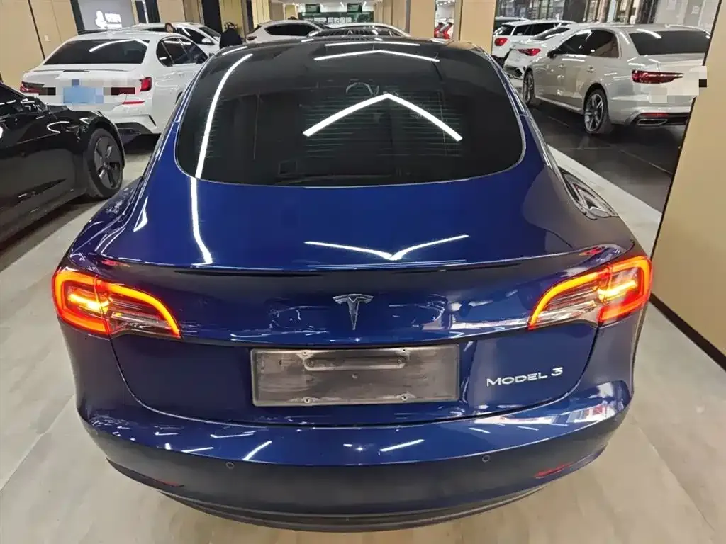 Tesla Model 3 2021 из CN, фото 6