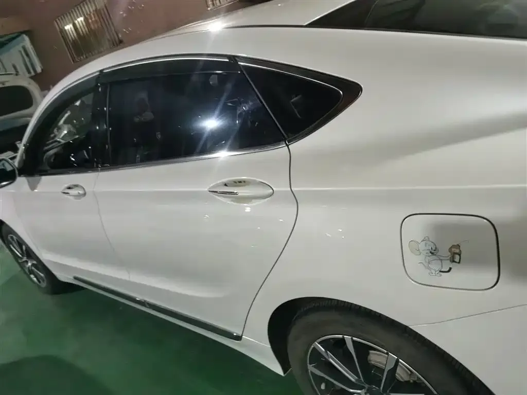 Geely Borui 2022 из CN, фото 5