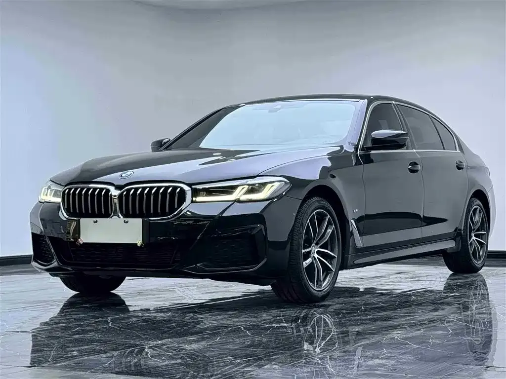 BMW 5 Series 2021 из CN, фото 1