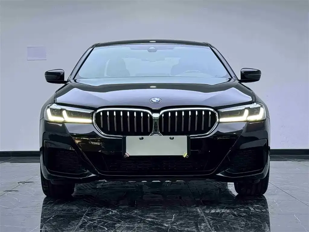 BMW 5 Series 2021 из CN, фото 2