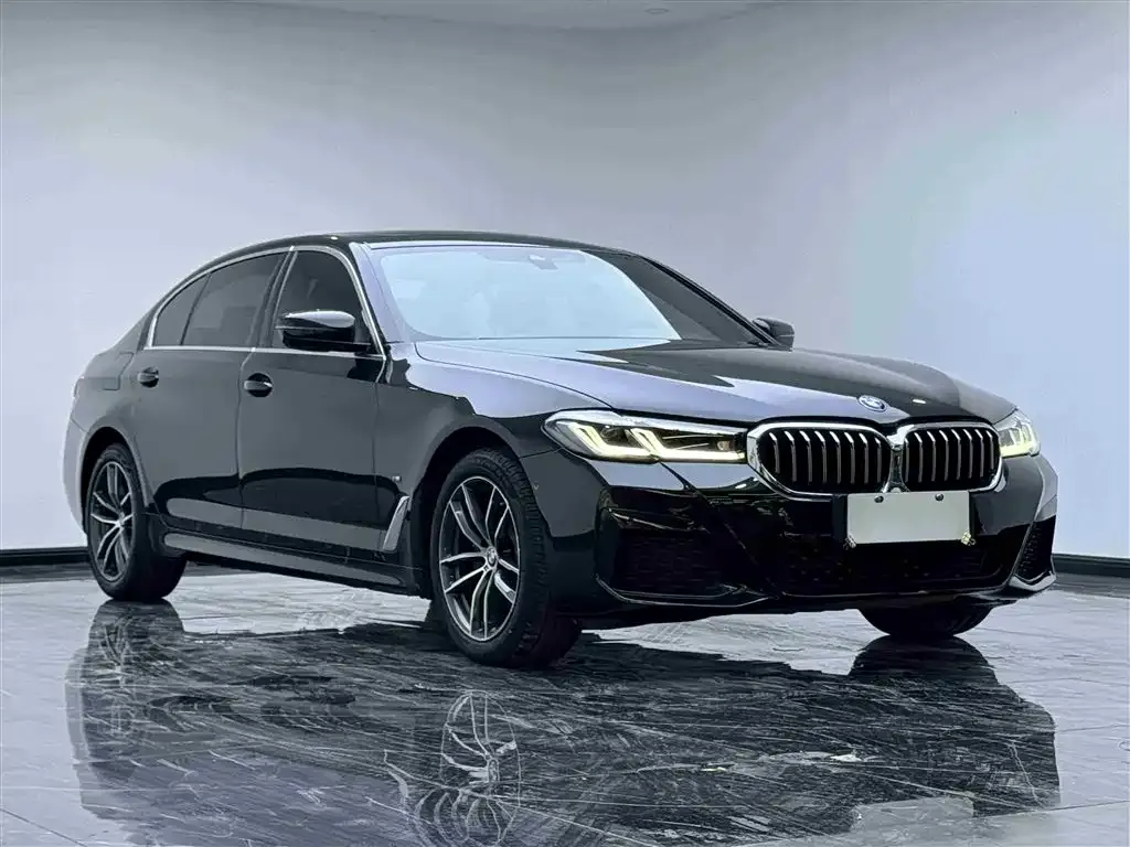 BMW 5 Series 2021 из CN, фото 3