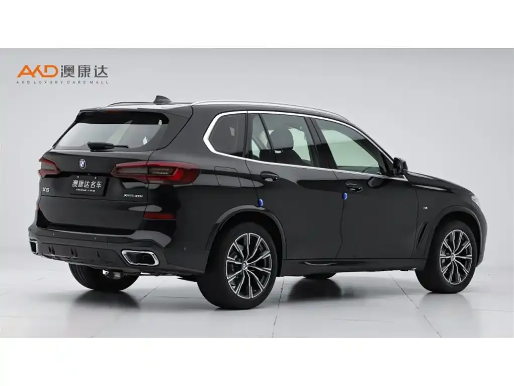 BMW X5 (Import) 2021 из CN, фото 3