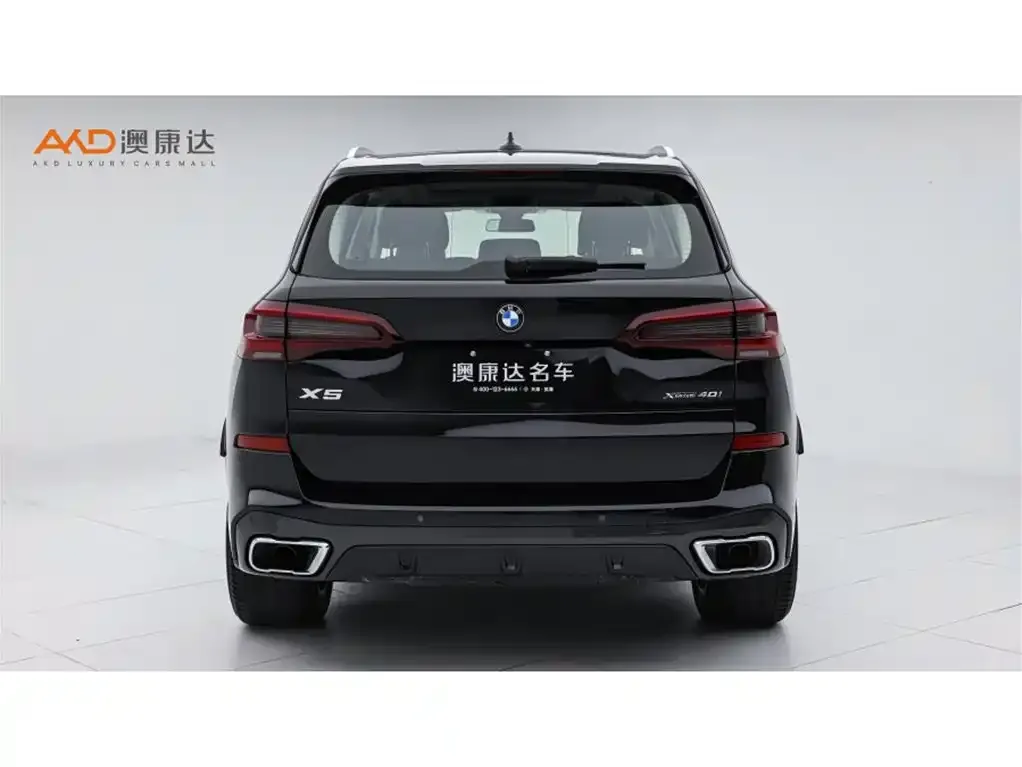 BMW X5 (Import) 2021 из CN, фото 4