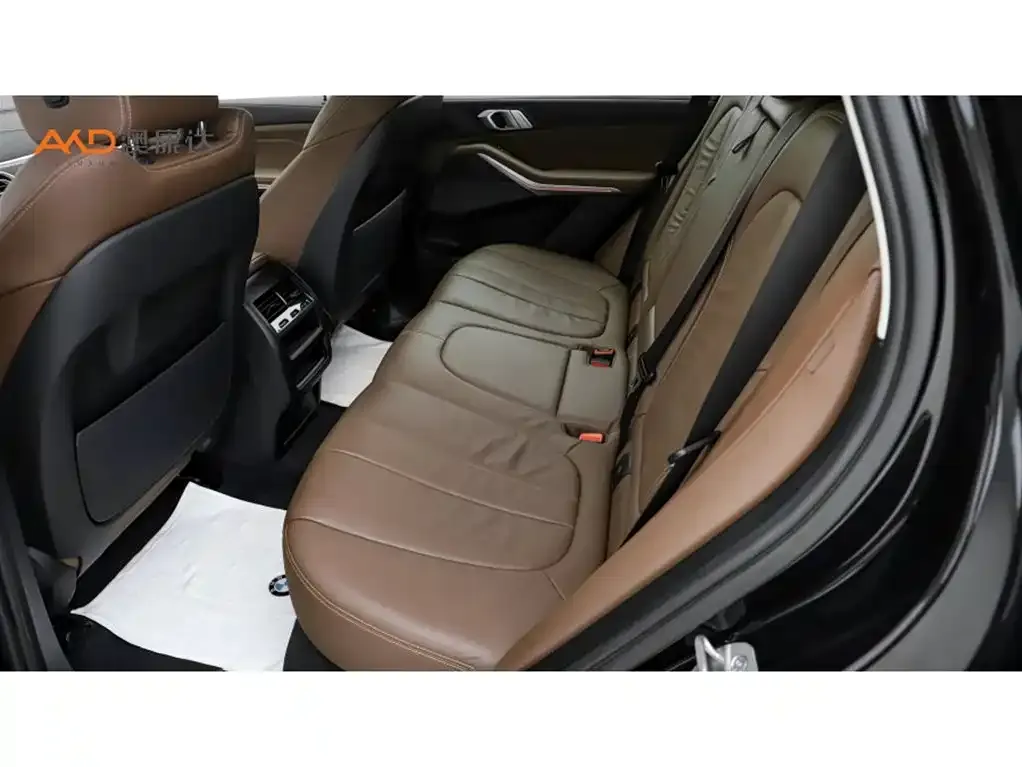 BMW X5 (Import) 2021 из CN, фото 7