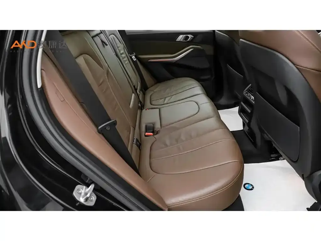 BMW X5 (Import) 2021 из CN, фото 8