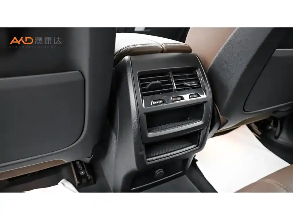 BMW X5 (Import) 2021 из CN, фото 9