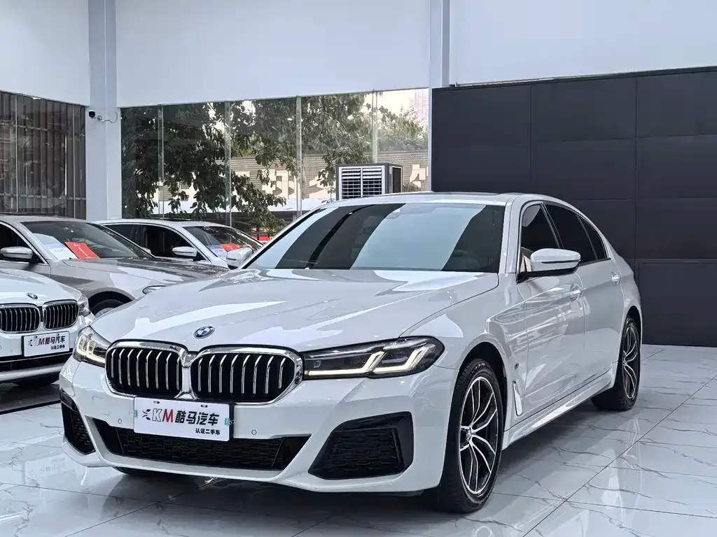 BMW 5 Series 2023 из CN, фото 1