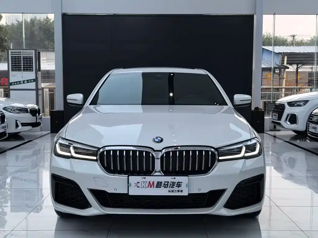 BMW 5 Series 2023 из CN, фото 2