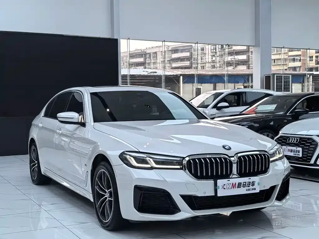 BMW 5 Series 2023 из CN, фото 3