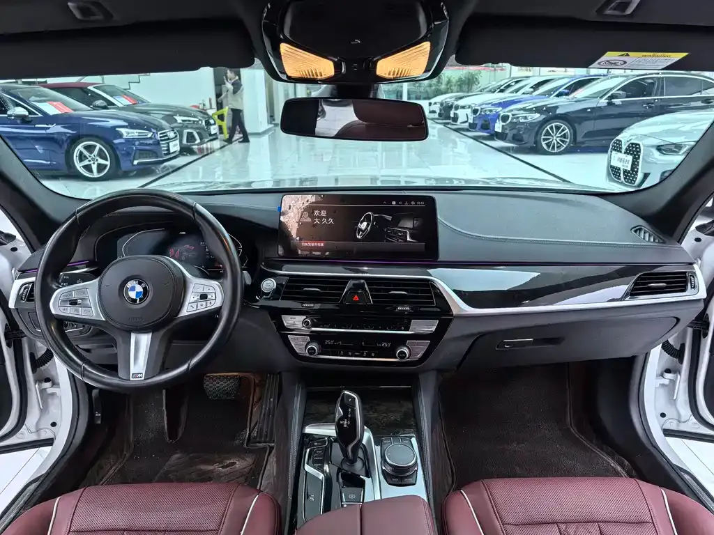 BMW 5 Series 2023 из CN, фото 8