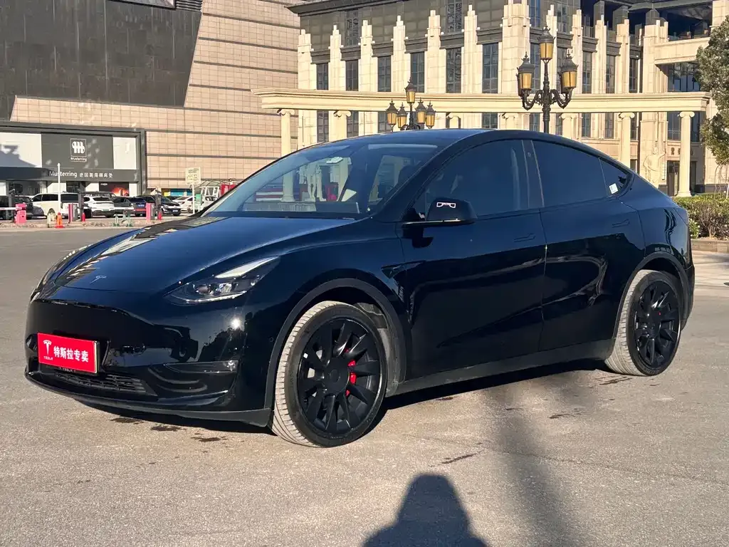 Tesla Model Y 2021 из CN, фото 1