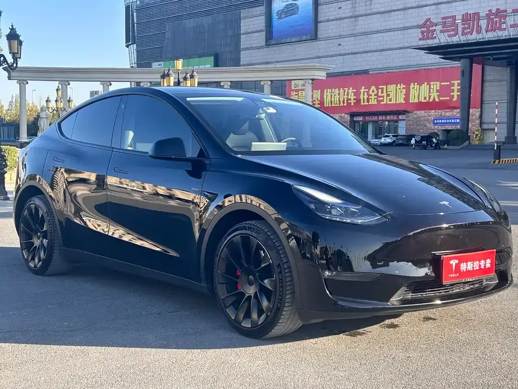 Tesla Model Y 2021 из CN, фото 2