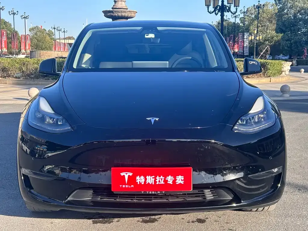 Tesla Model Y 2021 из CN, фото 3