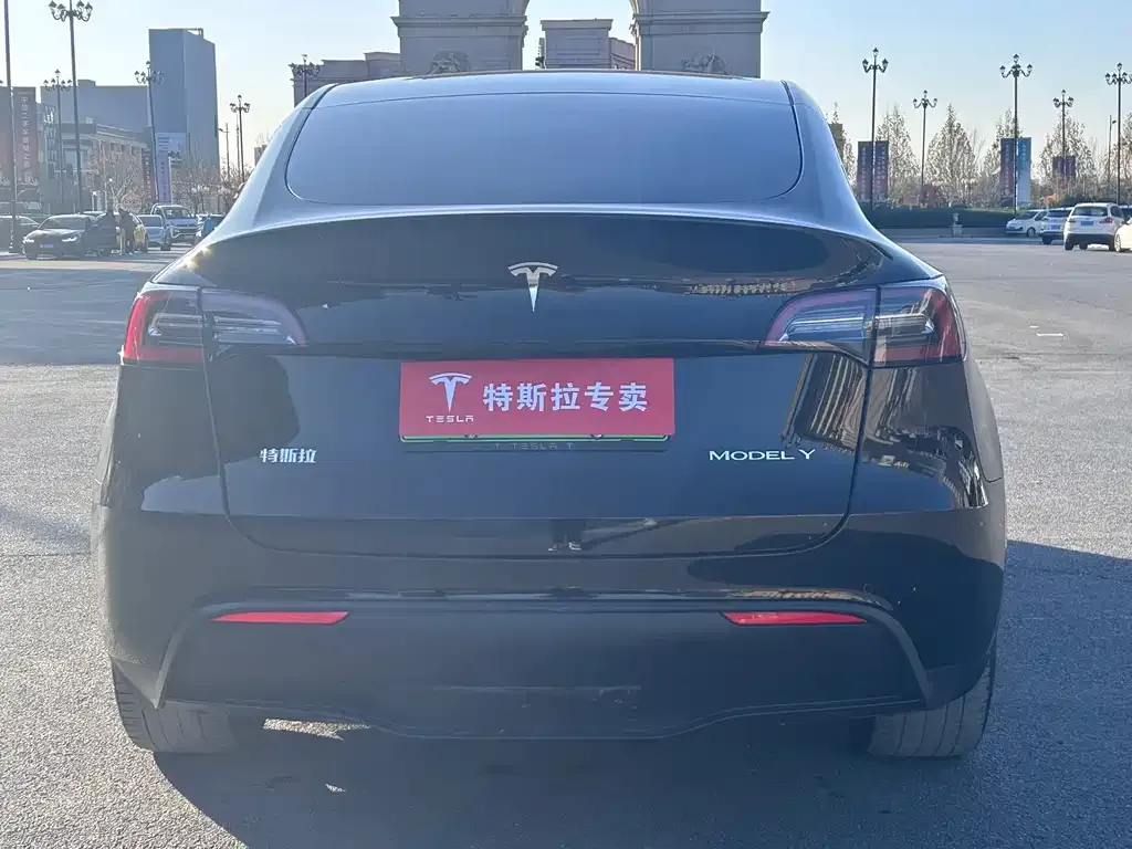 Tesla Model Y 2021 из CN, фото 4