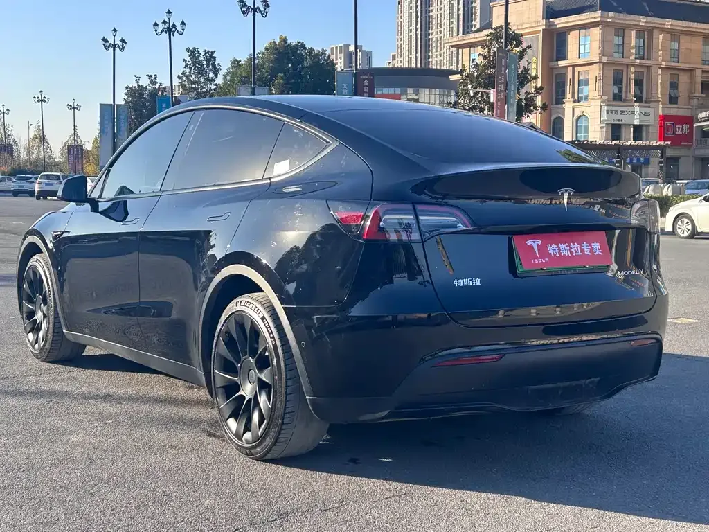 Tesla Model Y 2021 из CN, фото 5