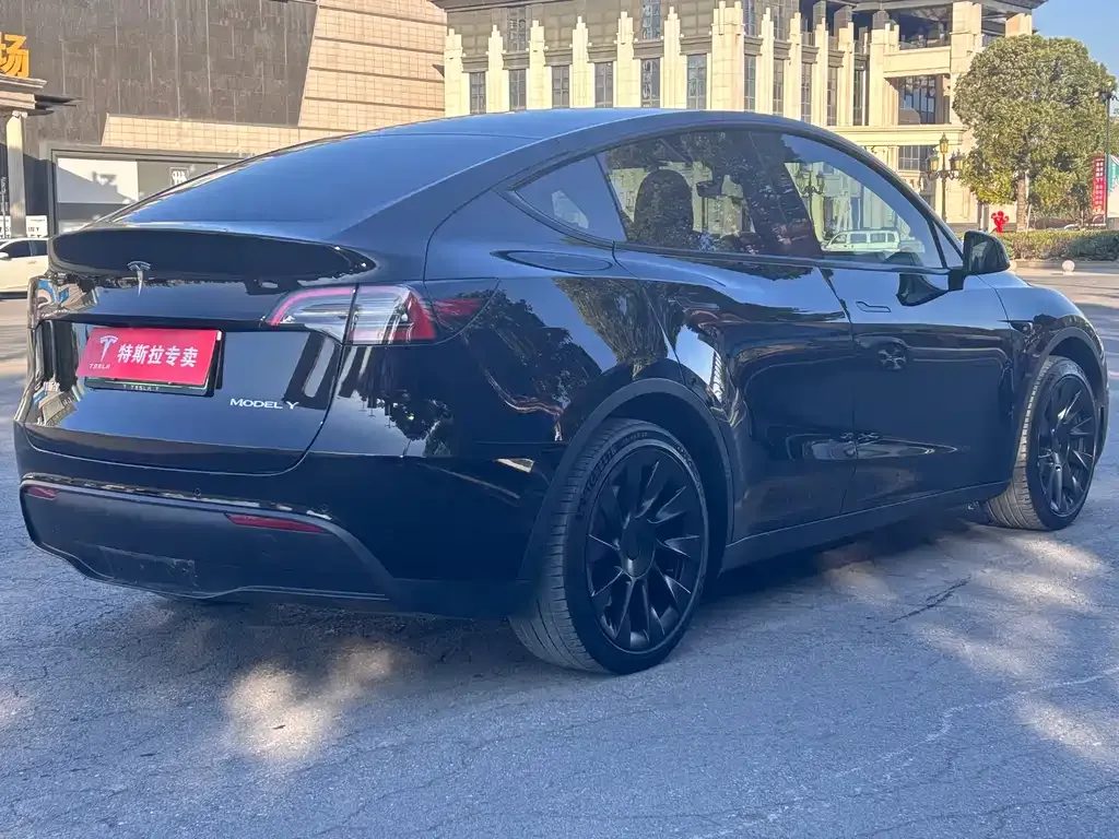 Tesla Model Y 2021 из CN, фото 6