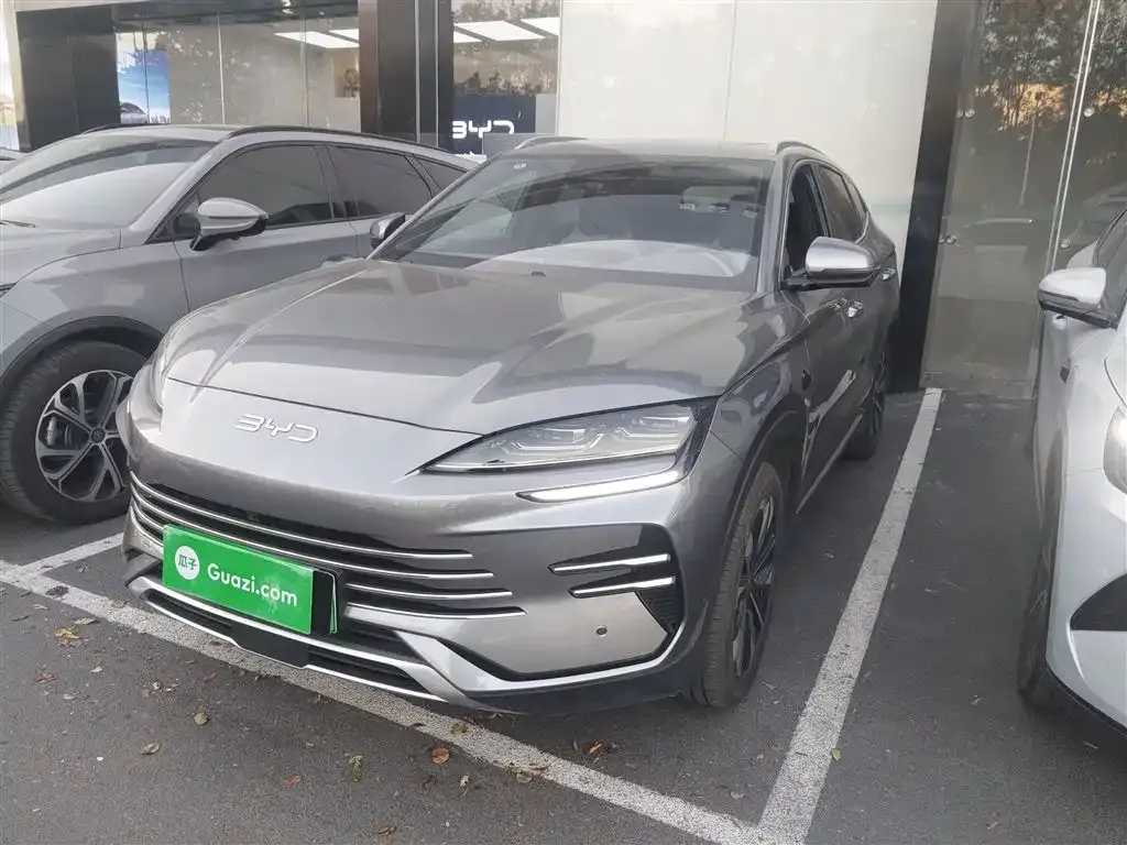 BYD PLUS New Energy 2025 из CN, фото 1