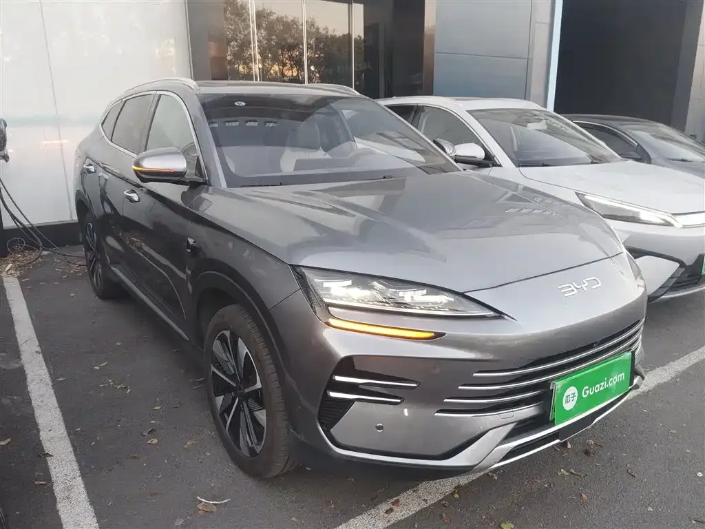BYD PLUS New Energy 2025 из CN, фото 4