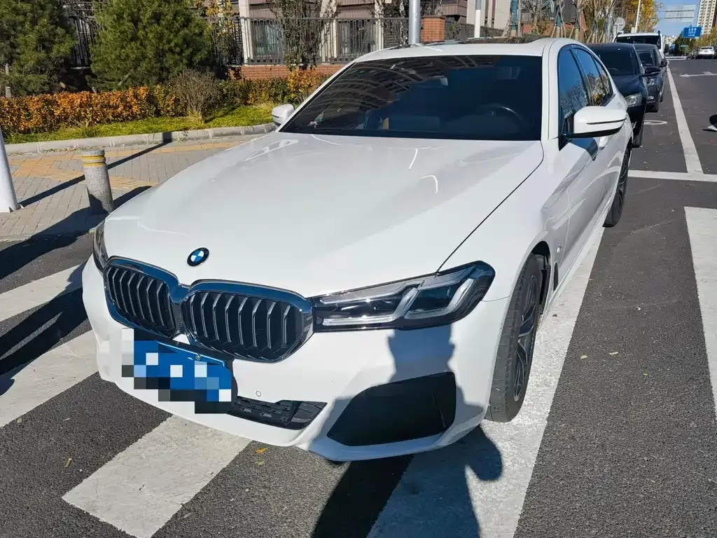 BMW 5 Series (Import) 2021 из CN, фото 1