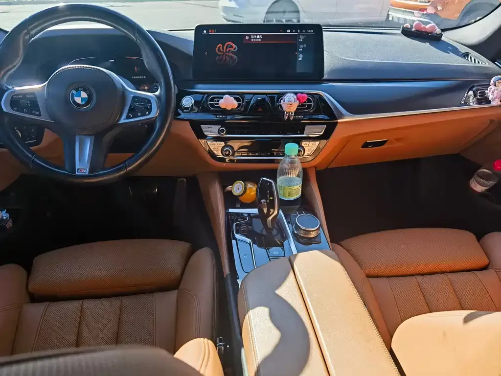 BMW 5 Series (Import) 2021 из CN, фото 3