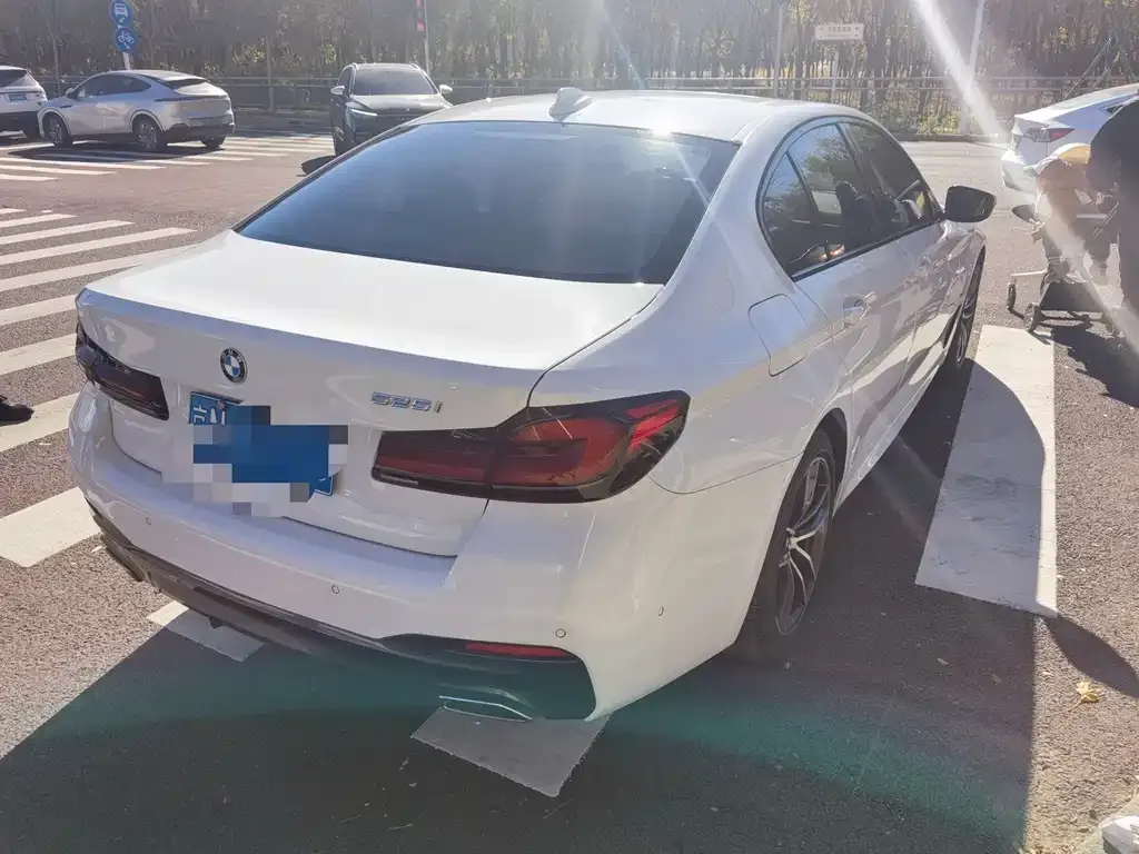 BMW 5 Series (Import) 2021 из CN, фото 9