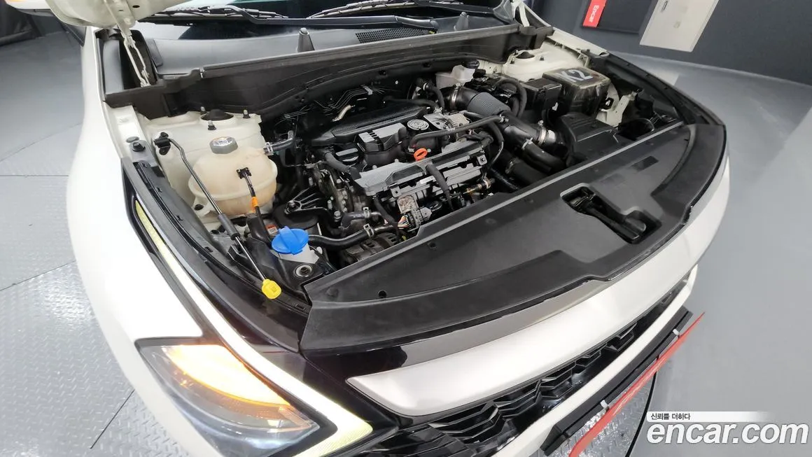 Kia Sportage — фото 6