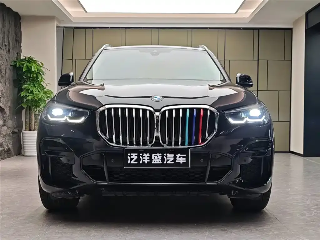 BMW X5 (Import) 2022 из CN, фото 2