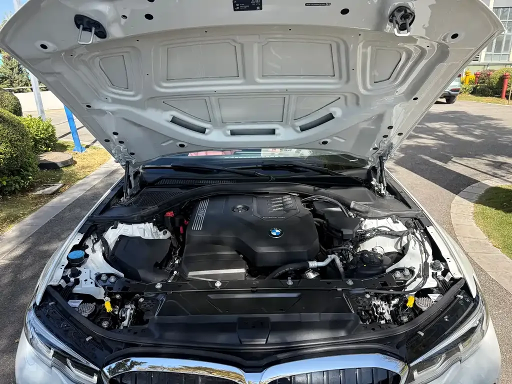 BMW 3 Series 2021 из CN, фото 10