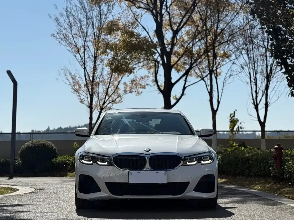 BMW 3 Series 2021 из CN, фото 2