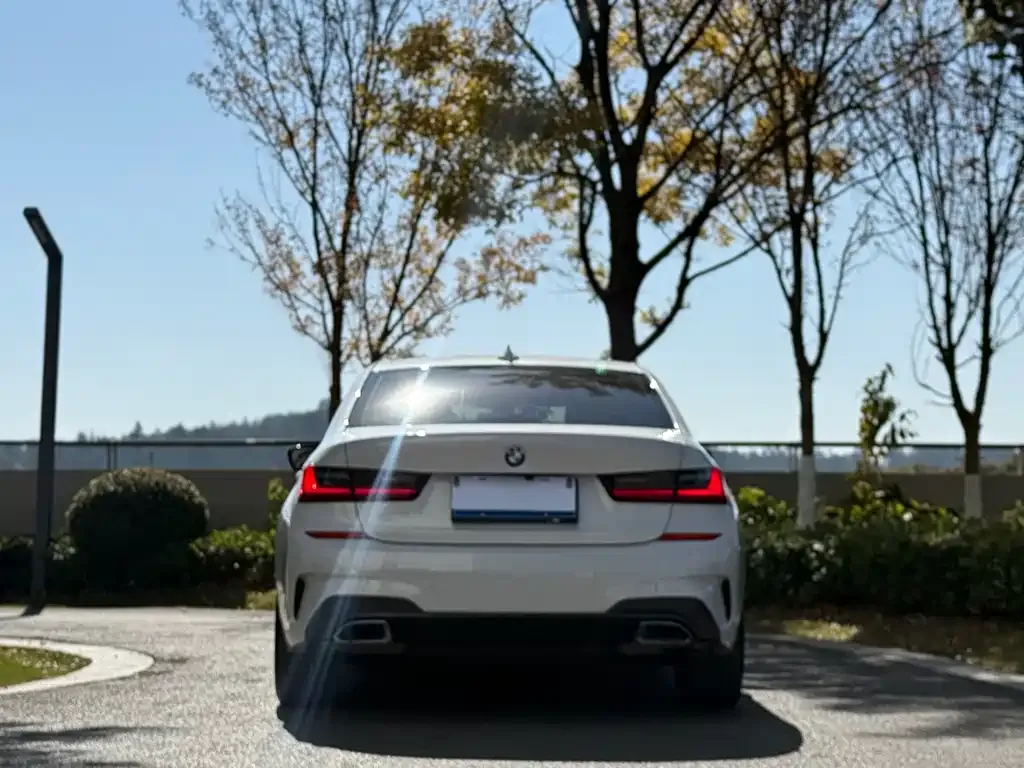 BMW 3 Series 2021 из CN, фото 8