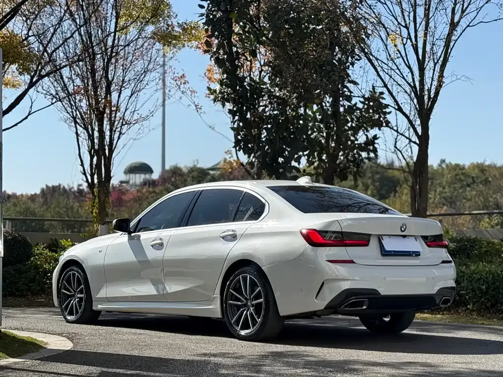 BMW 3 Series 2021 из CN, фото 9