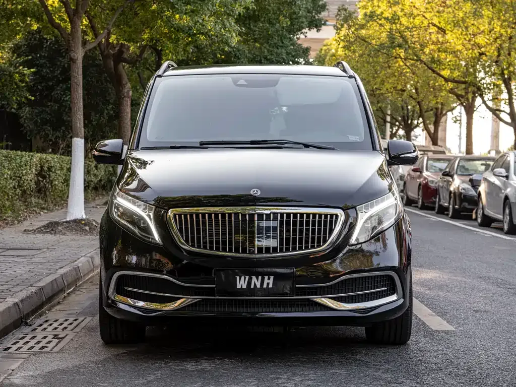 Mercedes-Benz V-Class 2021 из CN, фото 2